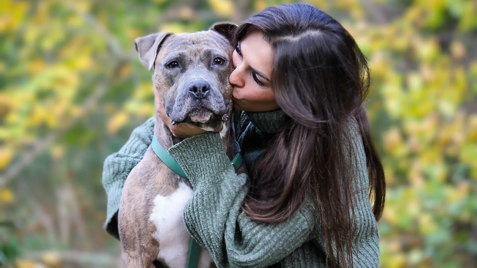 Pet sitter à Lyon - L'école des bandits