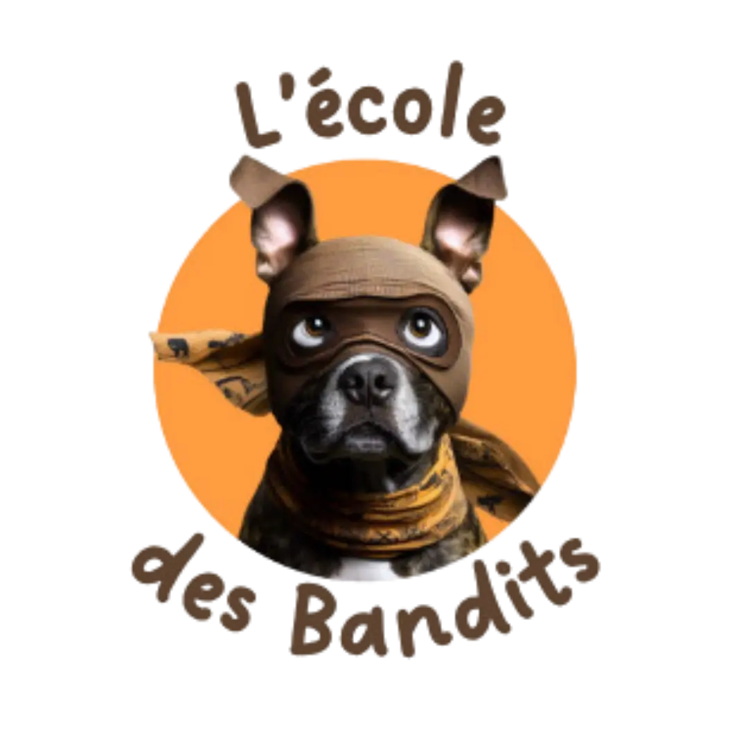 Logo l'école des bandits